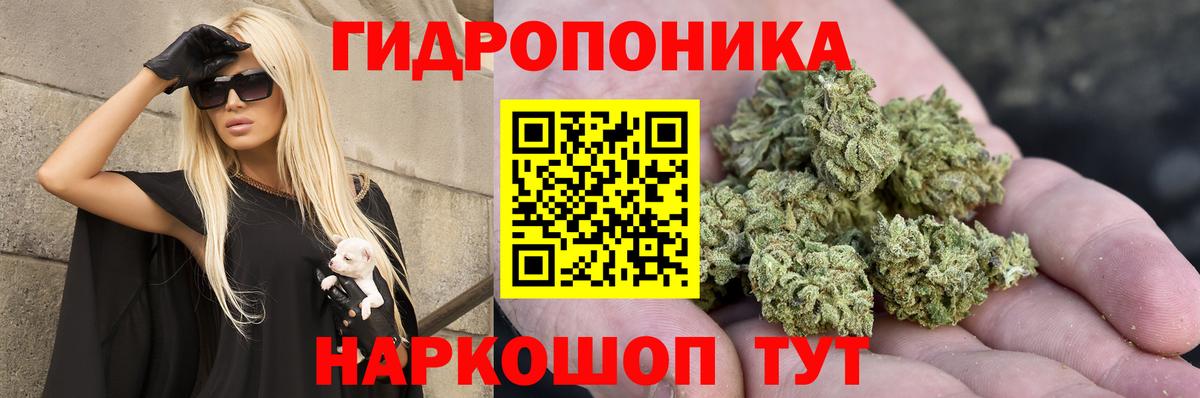 Бошки марихуана Amnesia Артём